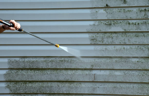 Best Solar Panel Cleaning  in Warsaw, IL